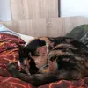 tanjadillenberge2 - @tanjadillenberge2 - TikTok