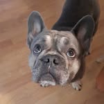 TanjaFleischmann - @tanja_19_75 - Instagram
