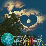 Tanja Gross - @tanja132 - Instagram