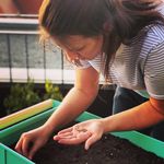 Tanja Hunter - @home_farming_freiburg - Instagram
