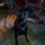 Tanja - @tanja_jackson_ - Instagram