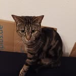 Tanja Keller - @tanja.keller.79462 - Instagram