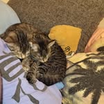 Tanja Krause - @tanja_389 - Instagram