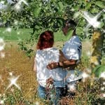 Tanja Krause - @krause.moersfeld78 - Instagram