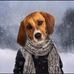 Tanja Link - Facebook