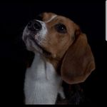 Tanja Link - @tanja.link.148 - Instagram