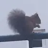 Tanja Lotte - @tanja.lotte3 - TikTok