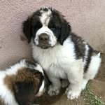 Tanja Lottermoser - @tanjalottermoser - Instagram