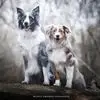Tanja Maier - @tanja.maier0 - TikTok