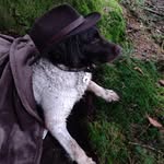 Tanja Maier - @tanja040470 - Instagram