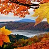 🍁TanjaMarkovic_3🍁 - @tanjamarkovic_3 - TikTok
