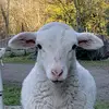 Tanja McMurray - @tanjarsm - TikTok