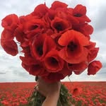Tanja Ott - @tanja_77799 - Instagram