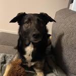 Tanja Ott - @funzel_72 - Instagram