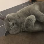 Tanja Otto - @totto141271 - Instagram