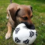 Tanja Sauer - @tanja.sauer.161 - Instagram