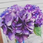 Anjanette Baker-Snodgrass - @anjanettemaree - Instagram