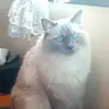 Tanja White835 - @tinna.winna - TikTok