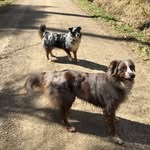 Tanja Winter - @tanja.winter.33 - Instagram