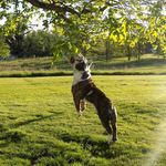 Tank Evans - @tank_lane - Instagram