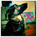 Tank Evans - Facebook