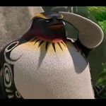 Tank Evans - @tank.evans.1612 - Instagram