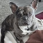 Tank Jones - @tankjones2024 - Instagram
