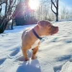 Tank Williams - @tank52456 - Instagram