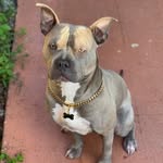 Tank Williams - @bigtank0618 - Instagram
