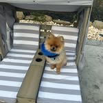 Tank Williams - @tankwilliams_ - Instagram
