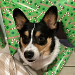 Tank Williams Jr - @tank.williamsjr - Instagram