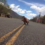 Tanner Allen - @tanner_mca_allen - Instagram