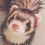 Christian Tanner Arnett - @ttodash05 - Instagram
