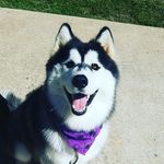 Tanner Bock - @unsweet_tearules - Instagram