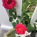 Ann Tanner Brady - Facebook