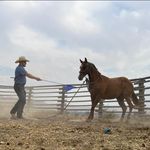 Tanner Brady - @tanner_brady29 - Instagram