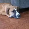 Tanner Brady - @tanner.bradyy - TikTok