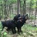Tanner Brady - Facebook