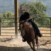 Tanner Bridges - @tannerbridges35 - TikTok