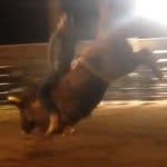 Tanner Bright - @tanner_bright54 - Instagram