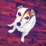 Tanner Brock Beech - @tanner_brock_beech - Instagram