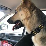 Tanner Cagle - @cagle_tanner - Instagram