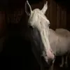 tannercantley - @tannercantley2 - TikTok