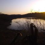 Tanner Carpenter - @tannercarpenter47 - Instagram