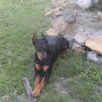 Tanner Carr - Facebook