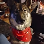 Tanner Carson Yates - @tanner1977 - Instagram