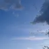 Tanner Charles - @tanner.charles1 - TikTok