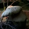 Tanner Cheek - @tanner.cheek - TikTok