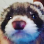 Tanner Chidester - @tavy_the_farrit - Instagram
