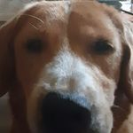 Tanner colvin - @tjcolvin_21 - Instagram
